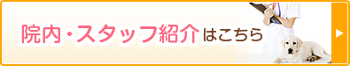 院内・スタッフ紹介はこちら