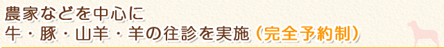 農家などを中心に、牛・豚・山羊・羊の往診を実施（完全予約制）