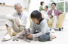 家族が増えたら、まずは迎える準備をしましょう