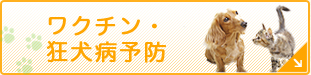 ワクチン・狂犬病予防
