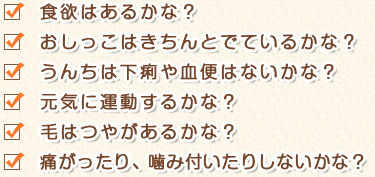 コミュニケーション