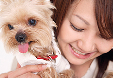 ん？黒いごま粒？体をさわるとぽつっとしたもの・・・こんな時はノミ・ダニがいっぱい体についてます。