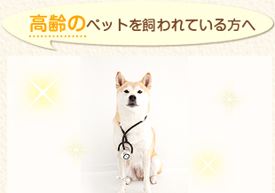 高齢のペットを飼われている方へ