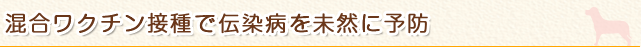 混合ワクチン接種で伝染病を未然に予防